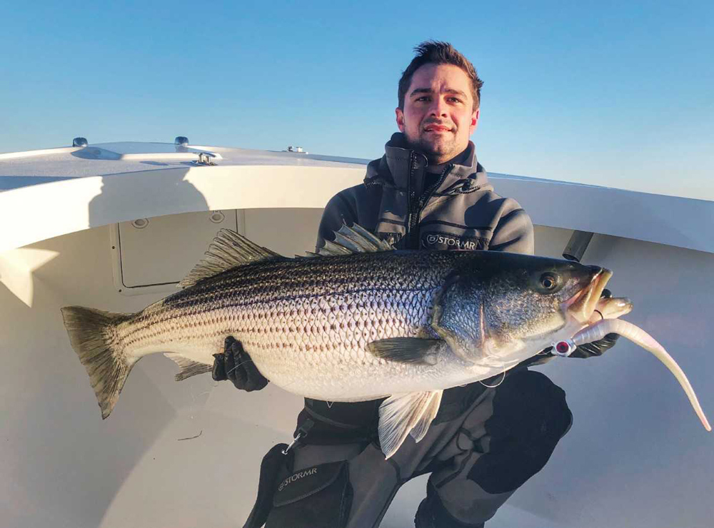 rockfish from chesapeake bay