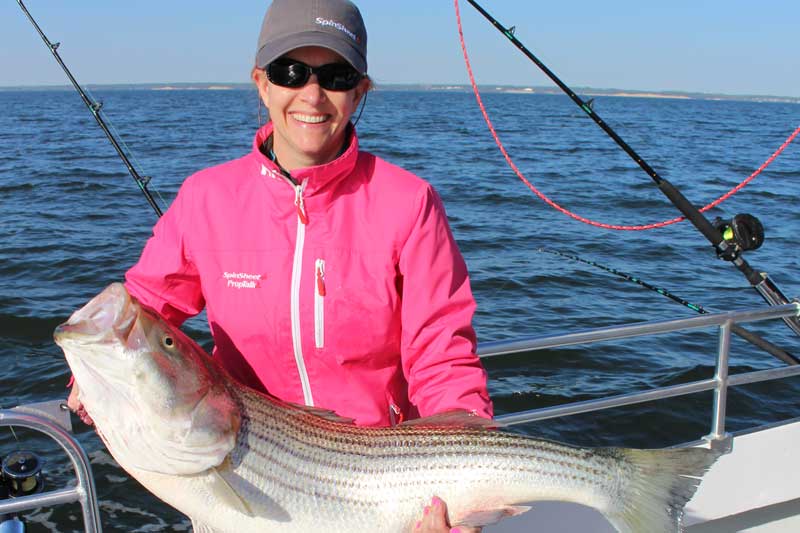 giant trophy rockfish on chesapeake bay