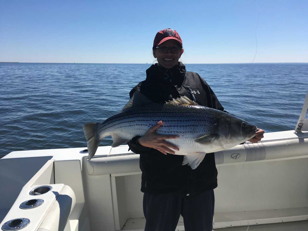 stripers on the chesapeake