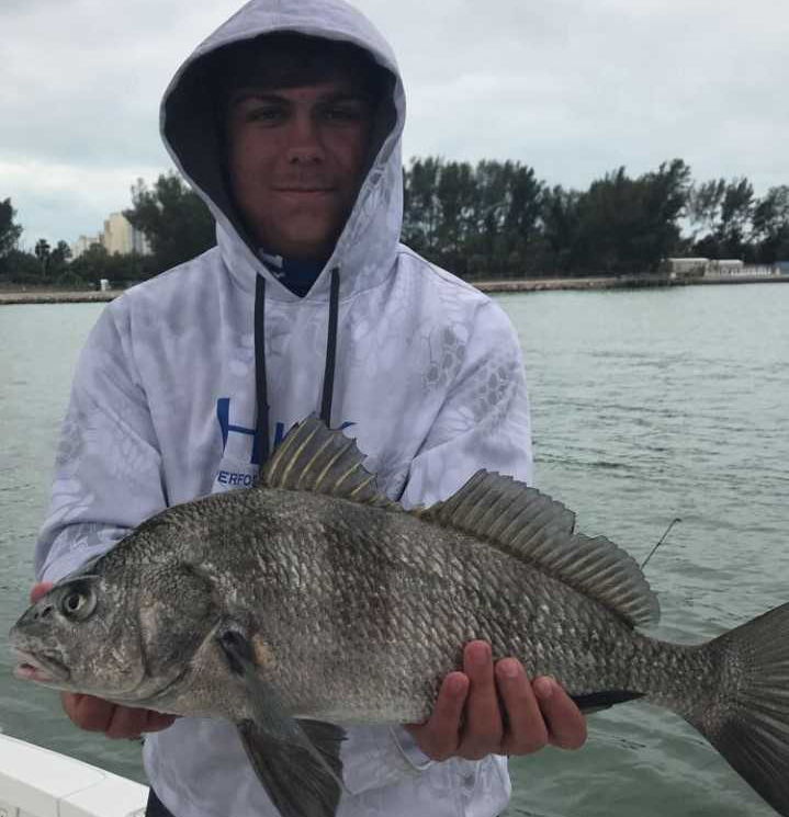 black drum in florida