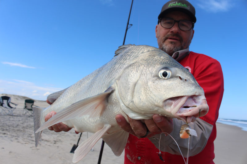 surf fishing for drum