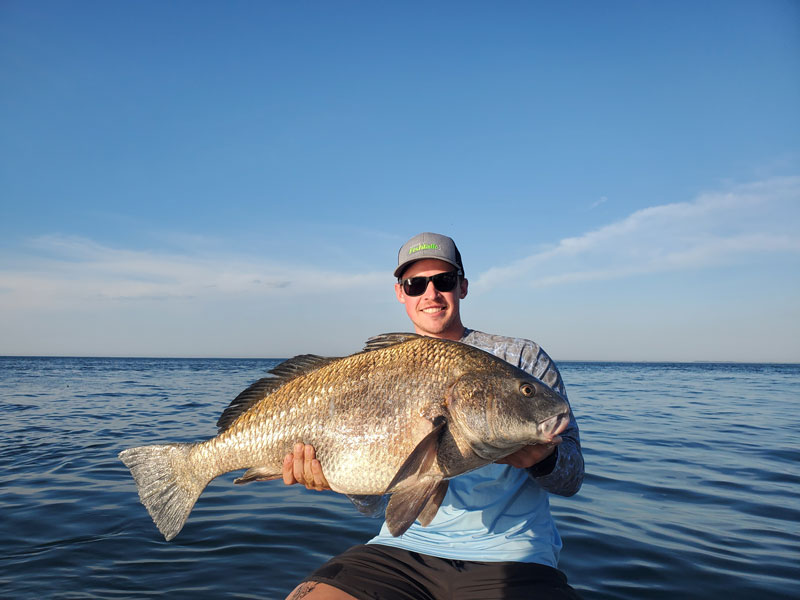 fishing reports editor dillon waters with a chesapeake bay black drum