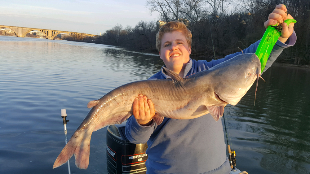 potomac river blue catfish fishing