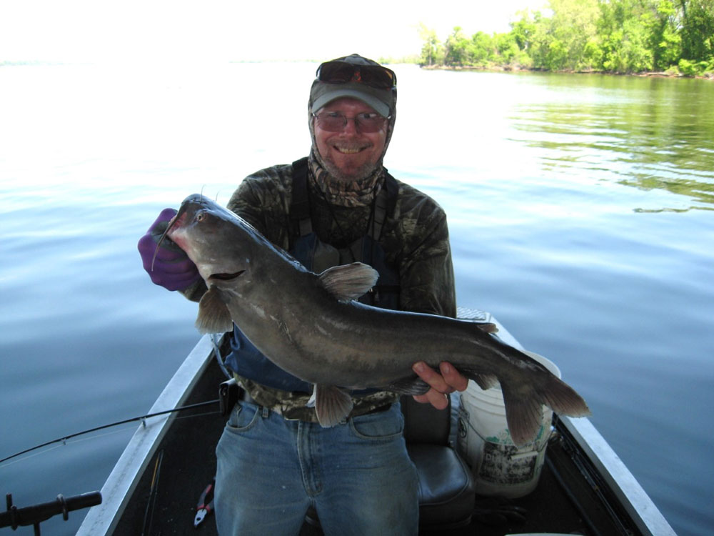 potomac river blue catfish