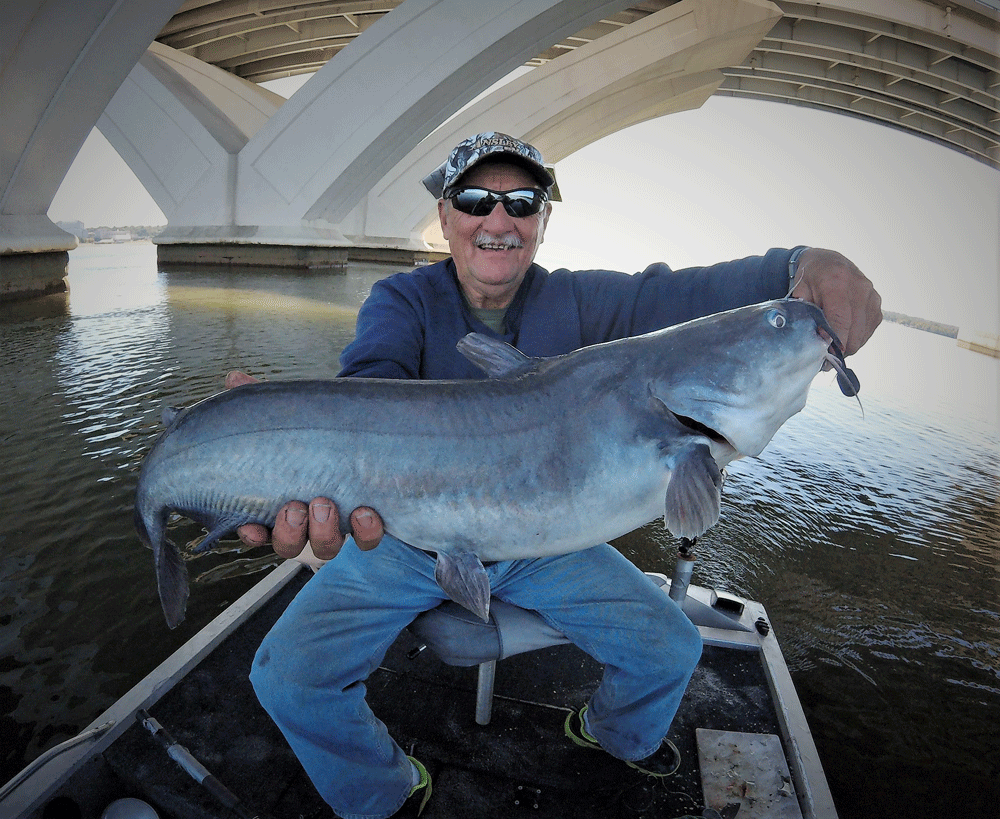 potomac river blue catfish