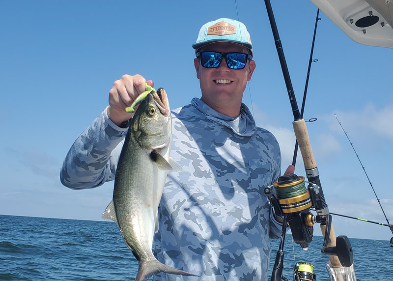 bluefish caught on a plastic jig