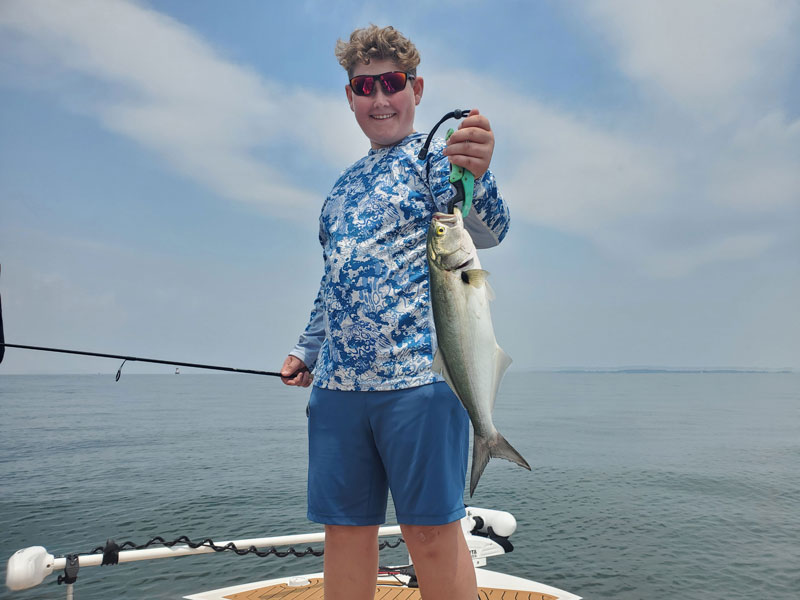 angler holds up a bluefish he caught