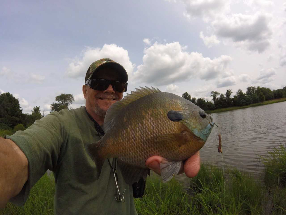 fishing for bluegill