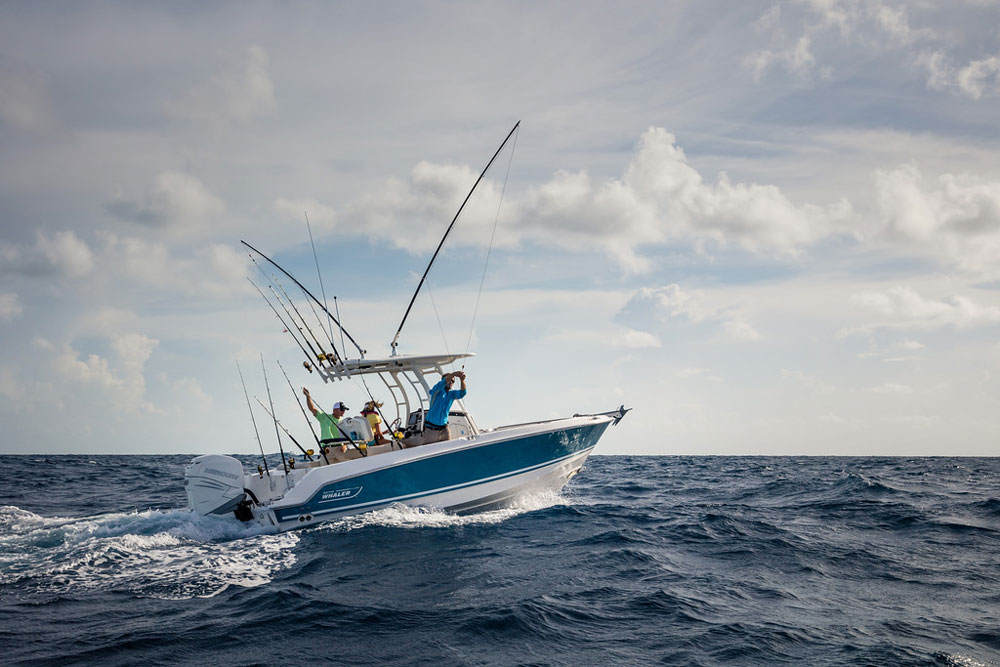 230 outrage boston whaler center console