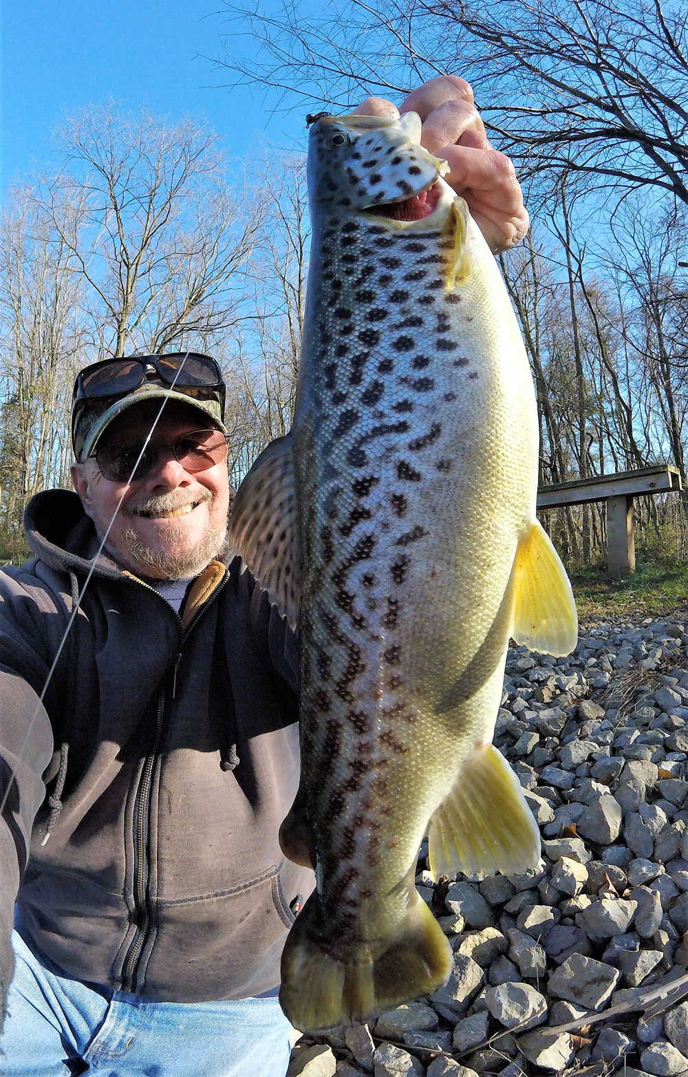 fishing for brown trout