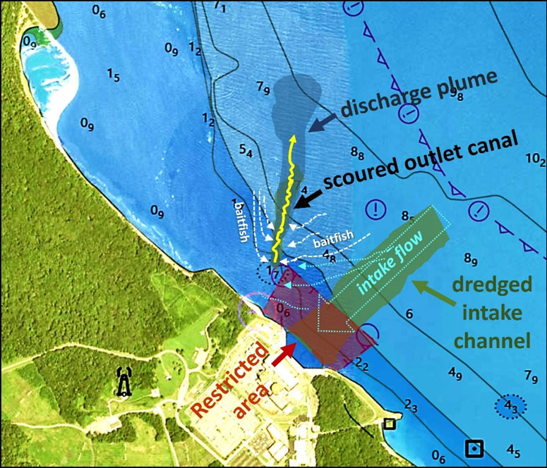 map of water flow at calvert cliffs 