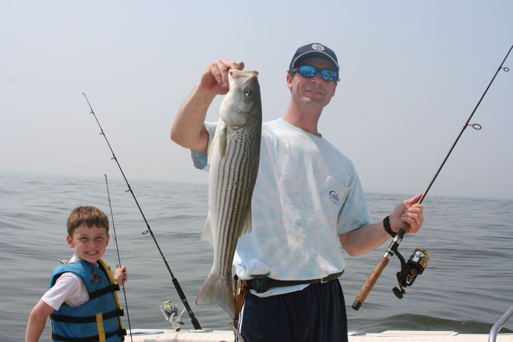 striped bass fishing