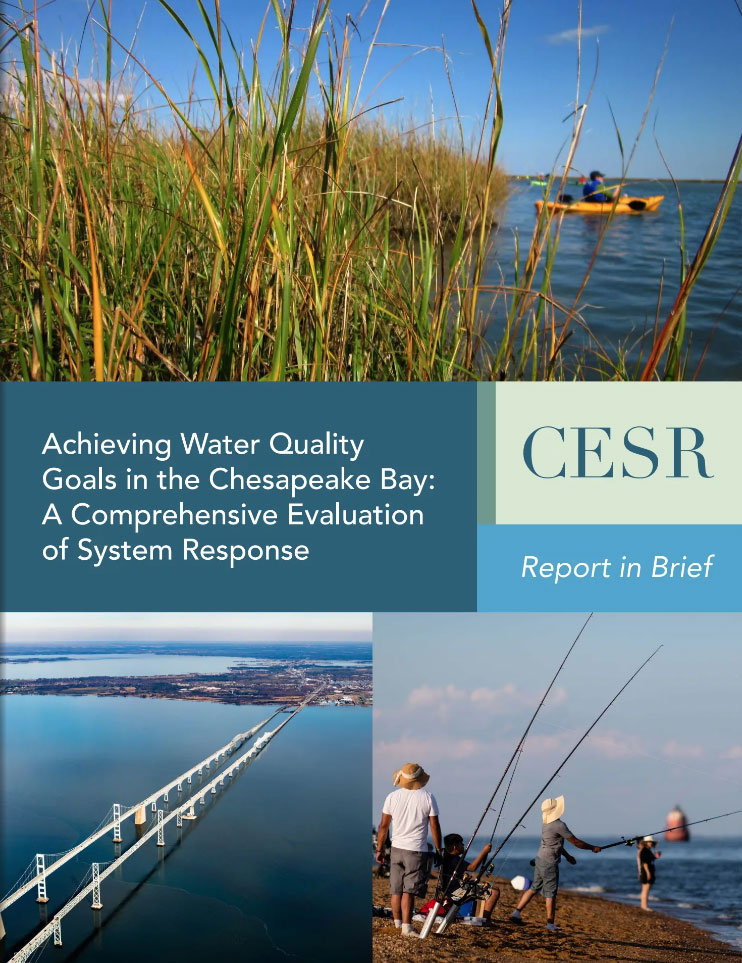 chesapeake bay cesr report