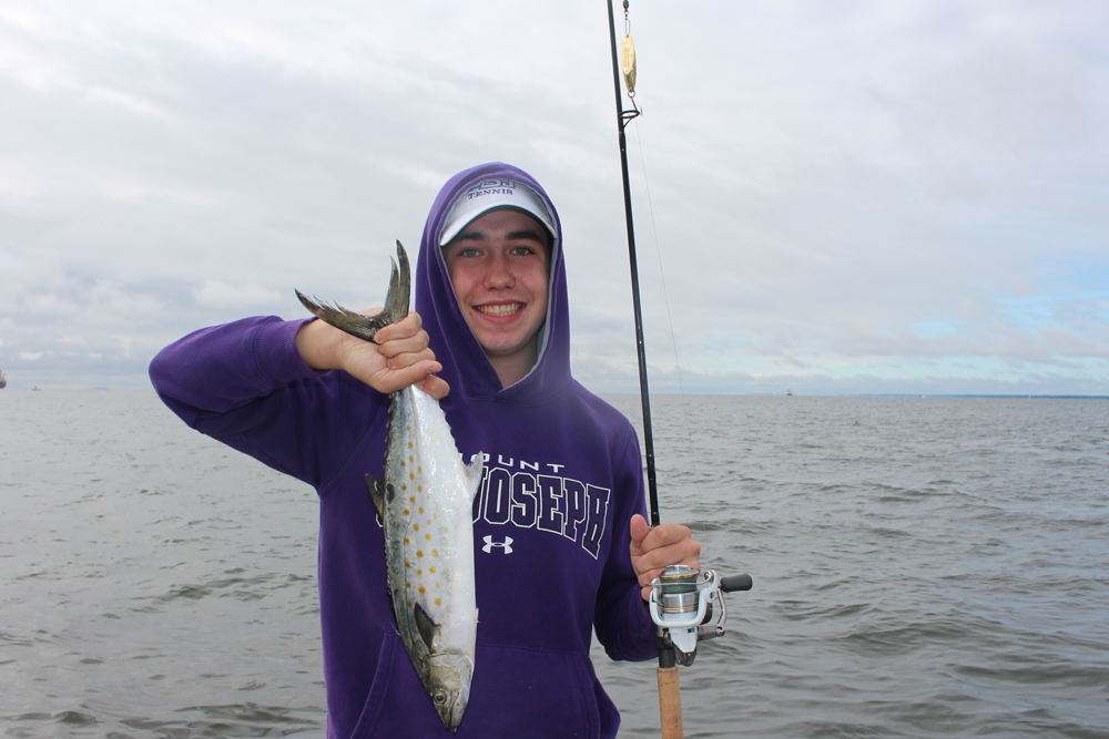 spanish mackerel in chesapeake bay