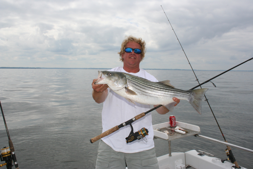 rockfish chumming