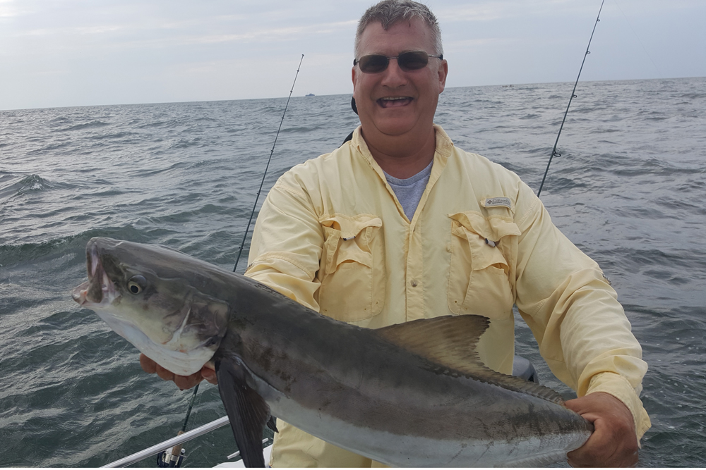 fishing for cobia