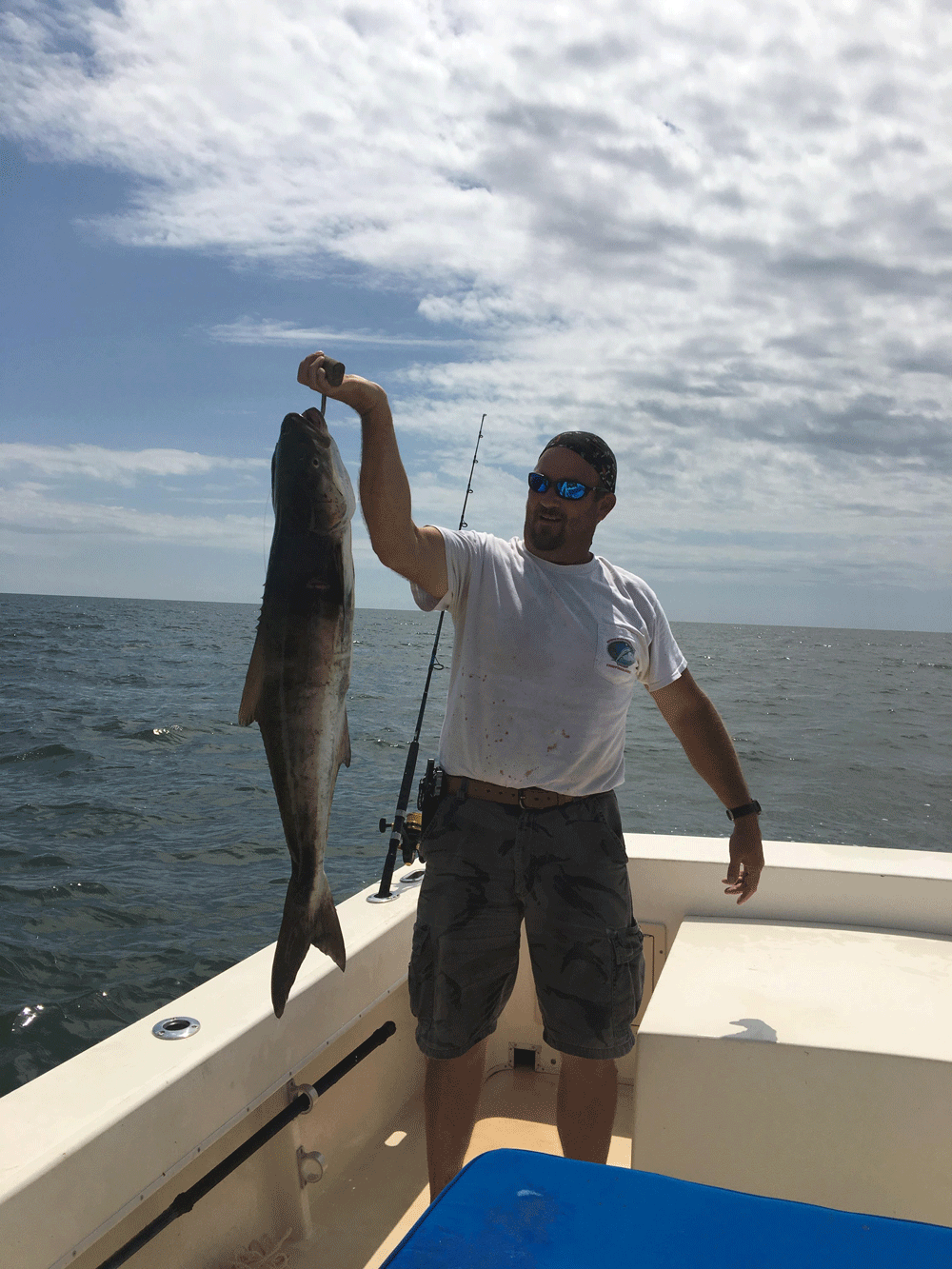 fishing for cobia