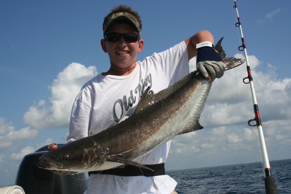 fishing cobia