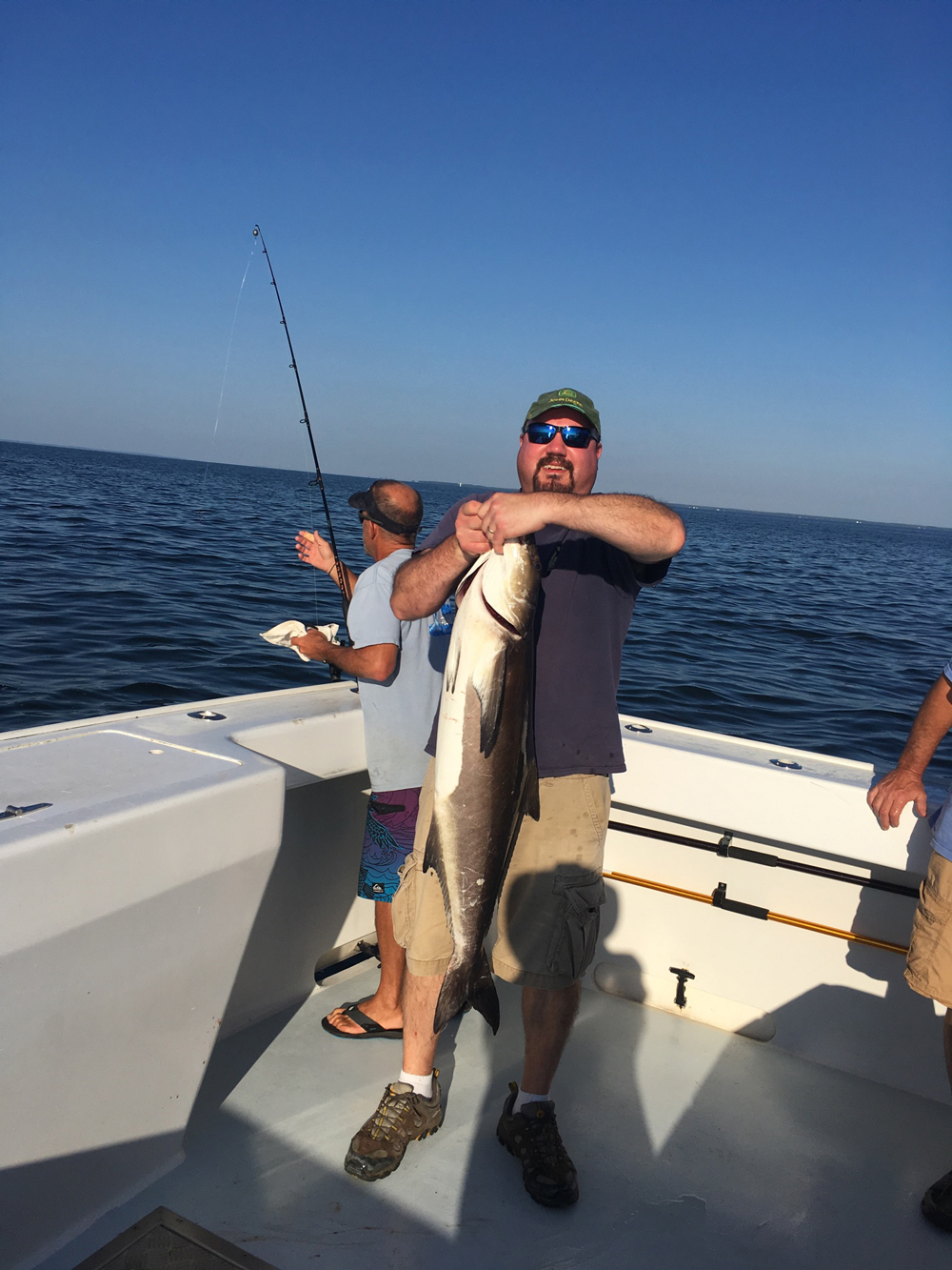 cobia fishing