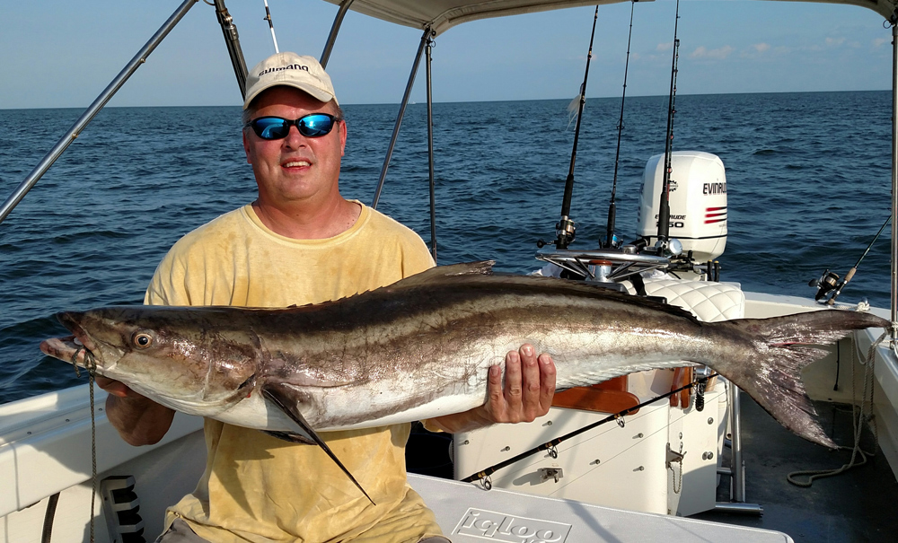 fishing for cobia