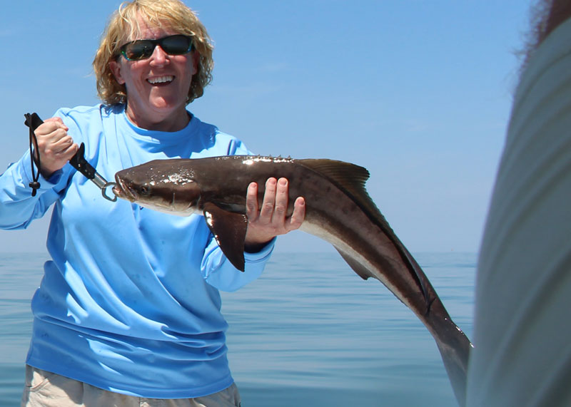 fishing for cobia