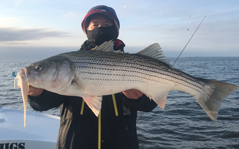 cold water striper fishing