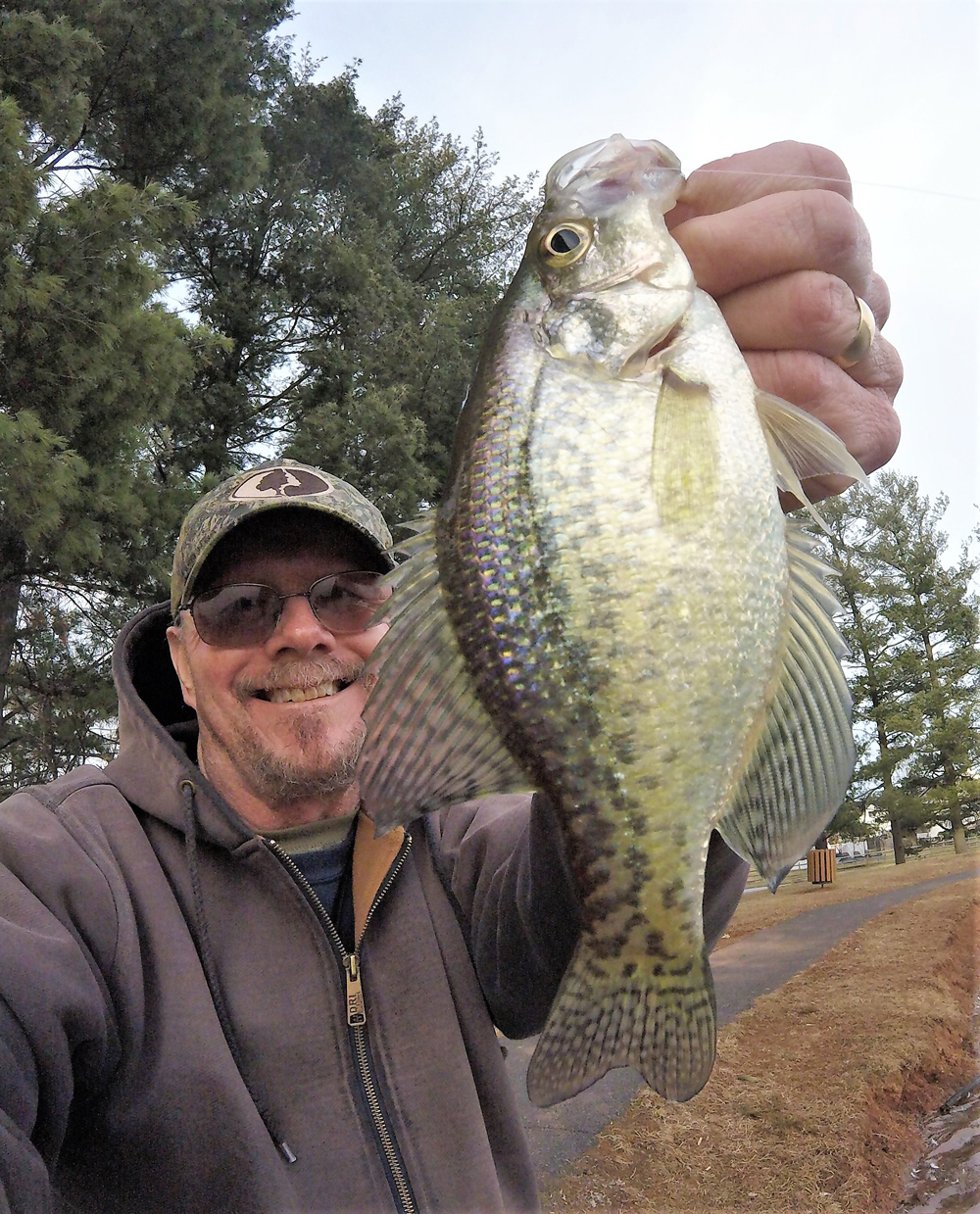 crappie in a pond