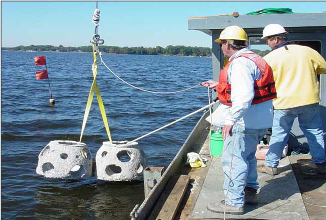 reef balls being deployed