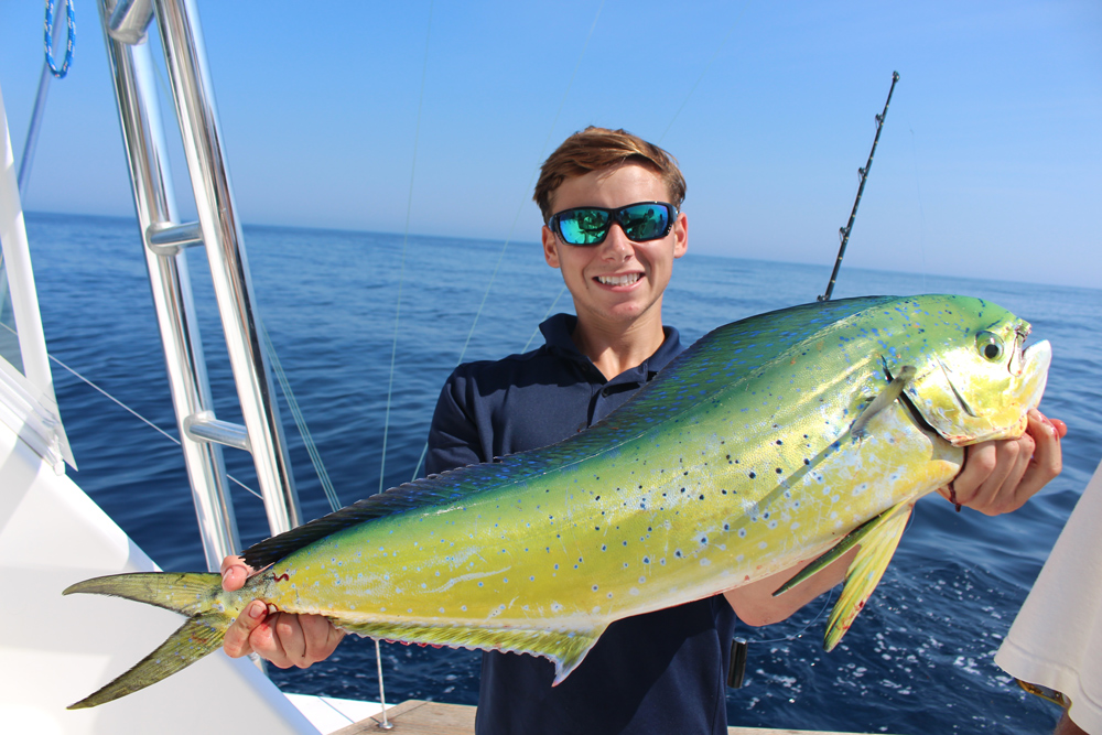 mahi mahi or dorado caught fishing