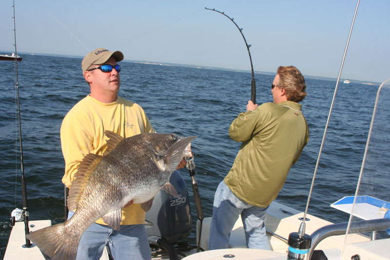 gear to use for fishing for black drum