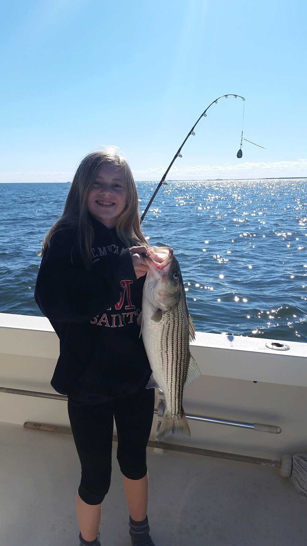 striped bass in eastern bay