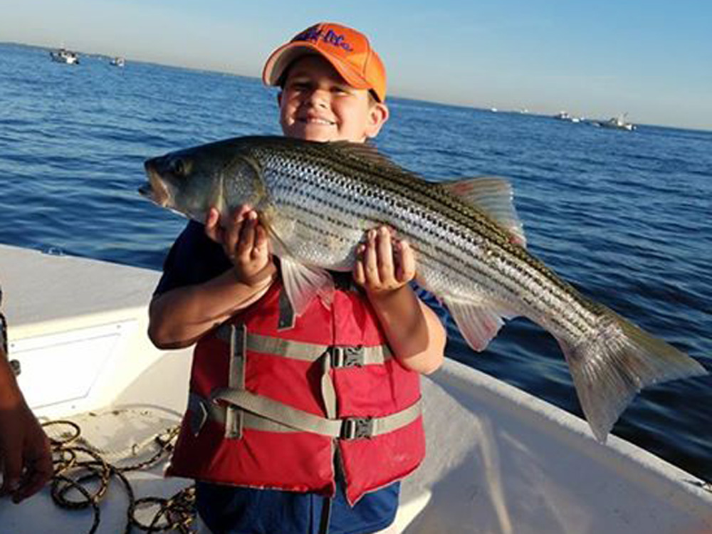 big fat striper