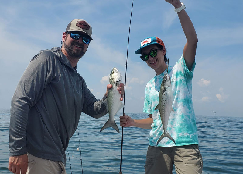 bluefish and mackerel at kiptopeke
