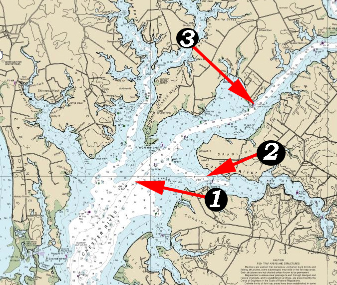 chester river fishing hotspots