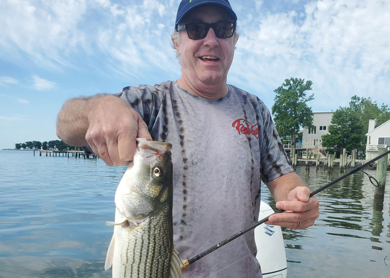 angler caught a striper near piers