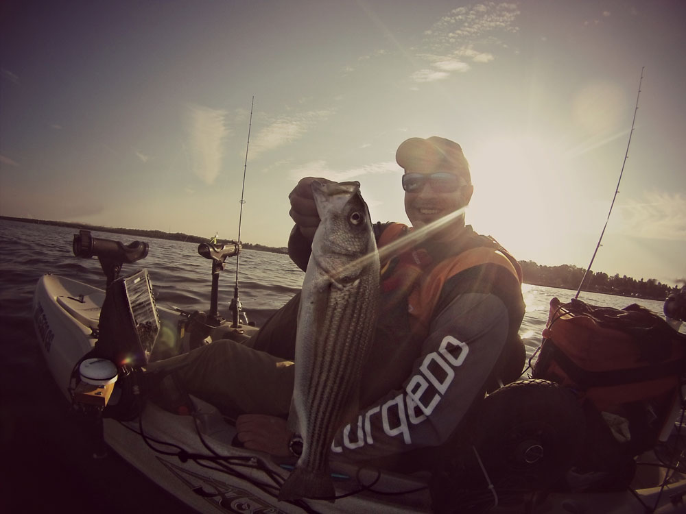 striped bass kayak fishing