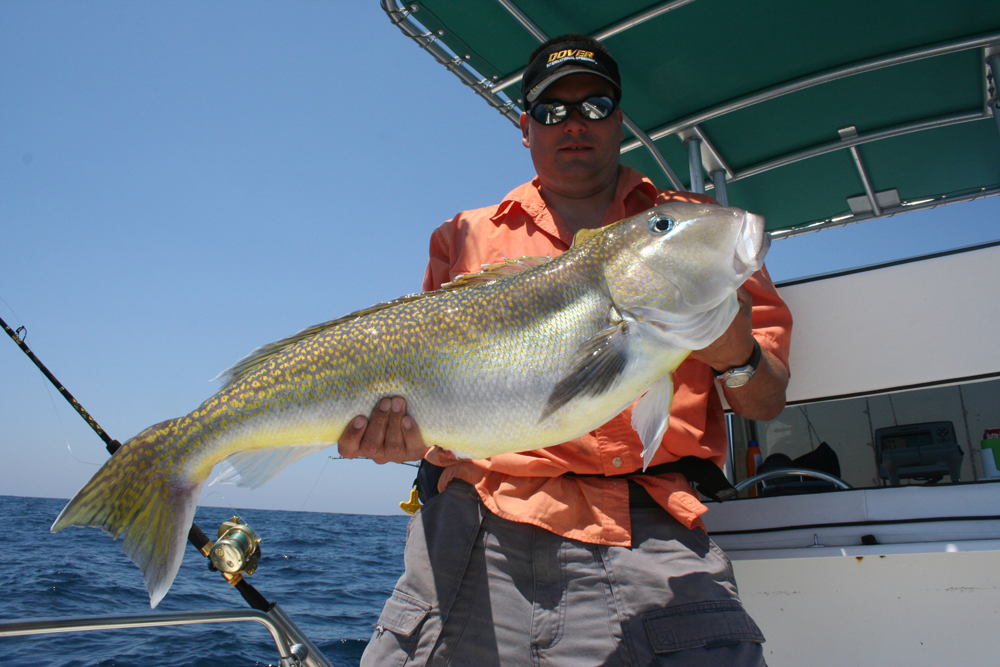 golden tilefish