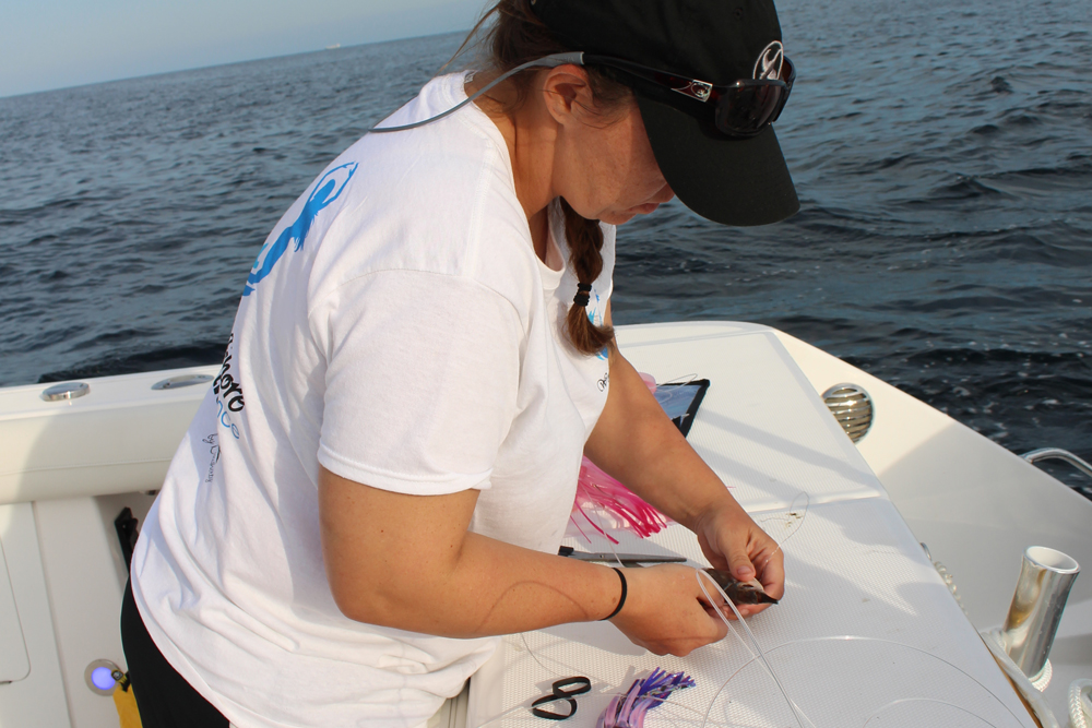 womans offshore alliance fishing