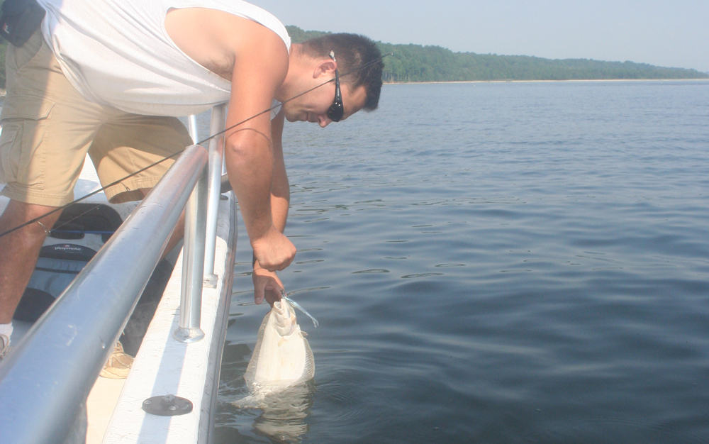 flounder fishing