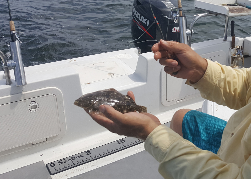 flounder fishing chesapeake bay