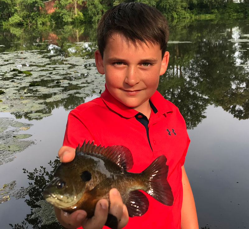 bluegill fishing