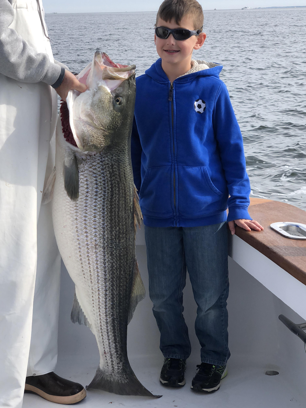 huge rockfish in chesapeake bay