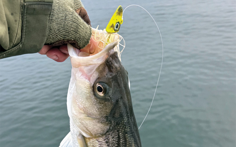 hard head custom baits jig head
