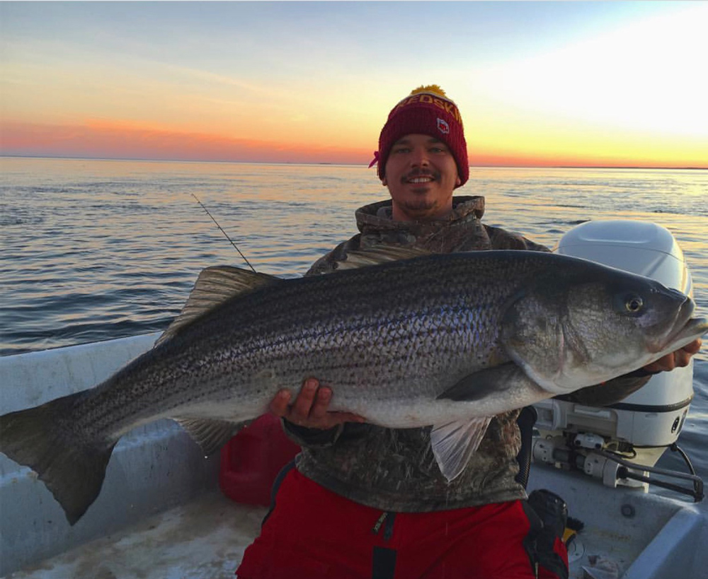 giant striper