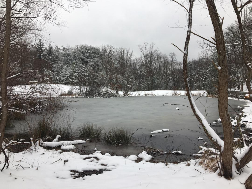 pond covered in ice