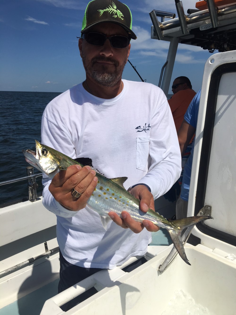 spanish mackerel