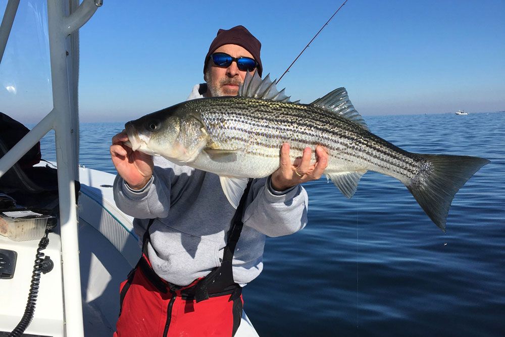 jigging for rockfish