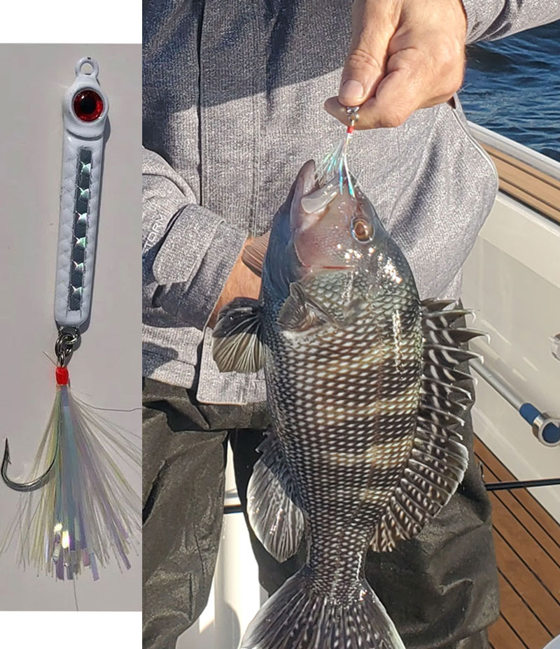 best saltwater lures jigging spoon