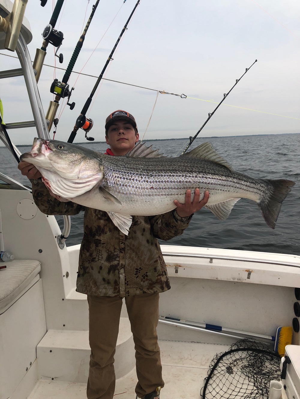 giant striper