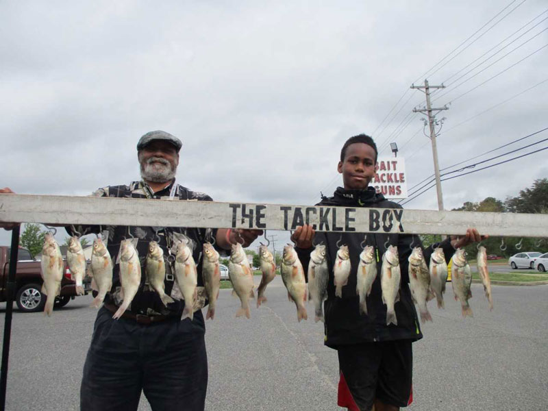 white perch are in season